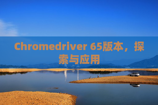 Chromedriver 65版本，探索与应用